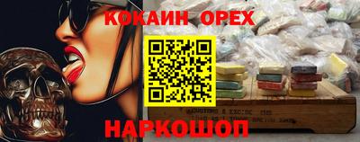 крисы Кингисепп