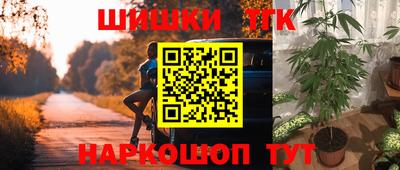 крисы Кингисепп