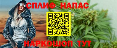 крисы Кингисепп