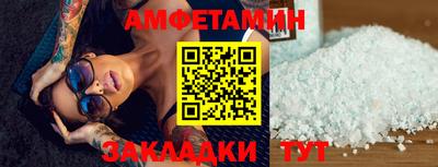 крисы Кингисепп