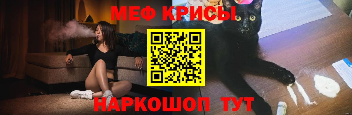 МЕФ  Камышлов