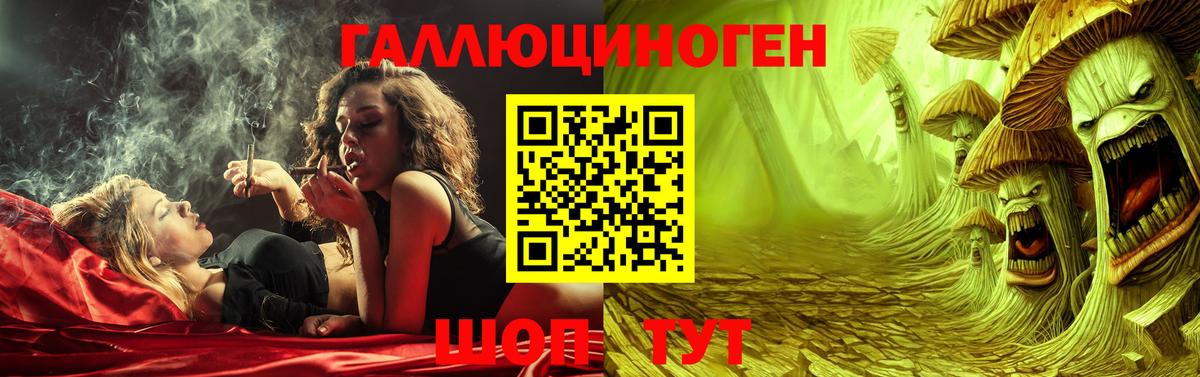 Галлюциногенные грибы прущие грибы  где найти наркотики  Галлюциногенные грибы GOLDEN TEACHER  Камышлов  Вход с VPN 